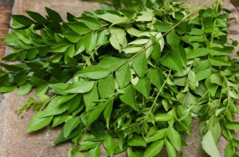 You will be surprised to know the secret benefits of curry leaves.