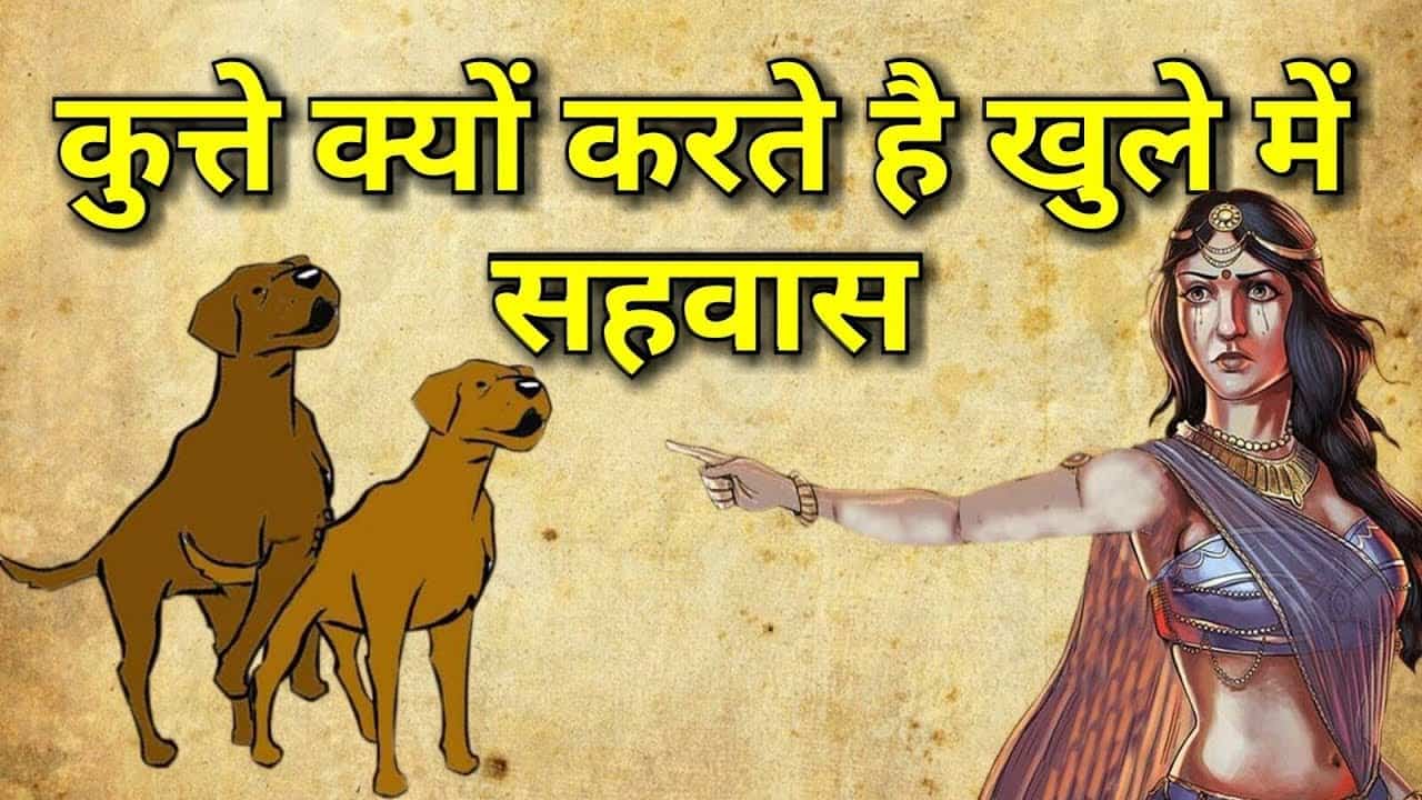 Dogs curse in the open due to this curse of Draupadi, you will go to the square knowing the reason.