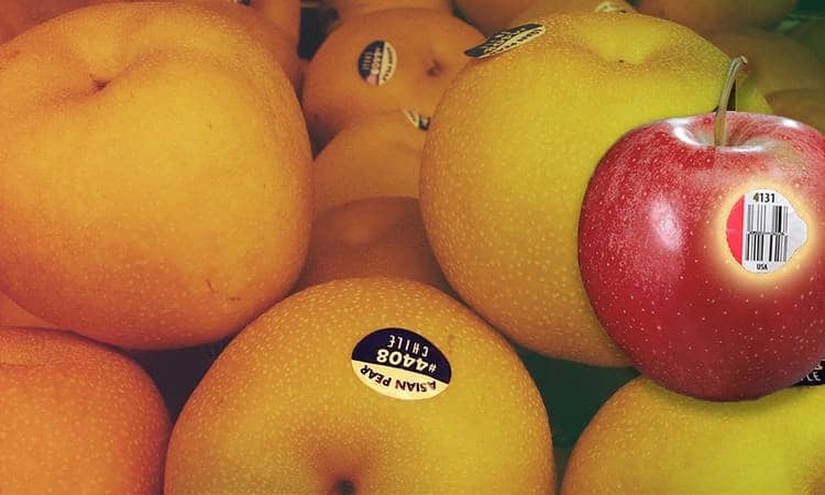 Have you ever wondered why stickers are available on the fruits found in the market.