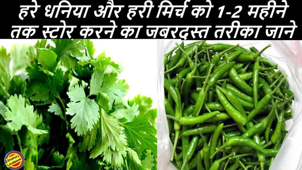 How to store green chilli and coriander for three months without spoiling, know here.