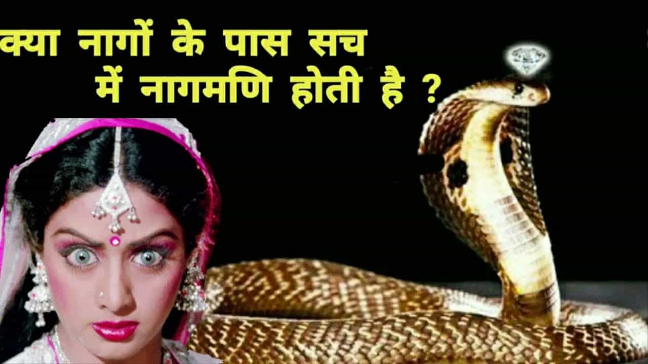 Do Nagas really have Nagmani, know this secret