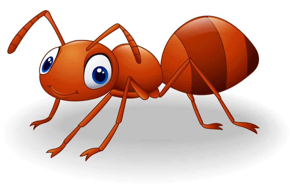 जानिए चींटी भगाने के ऐसे असरदार घरेलू उपाय