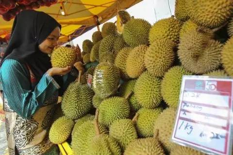 Which is the most expensive fruit in the world, you will be surprised to know the price