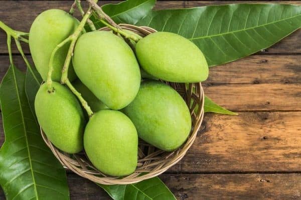 Know the benefits of eating raw mangoes in summer