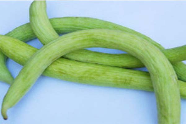 Consumption of cucumber in summer season will keep you from many problems