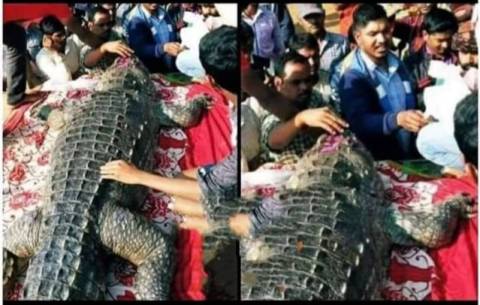Crocodile cremation is done in this village, you will be surprised to know the reason