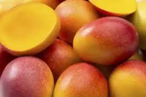 It is the most expensive mango in the world, hearing the price of 1 kg mango