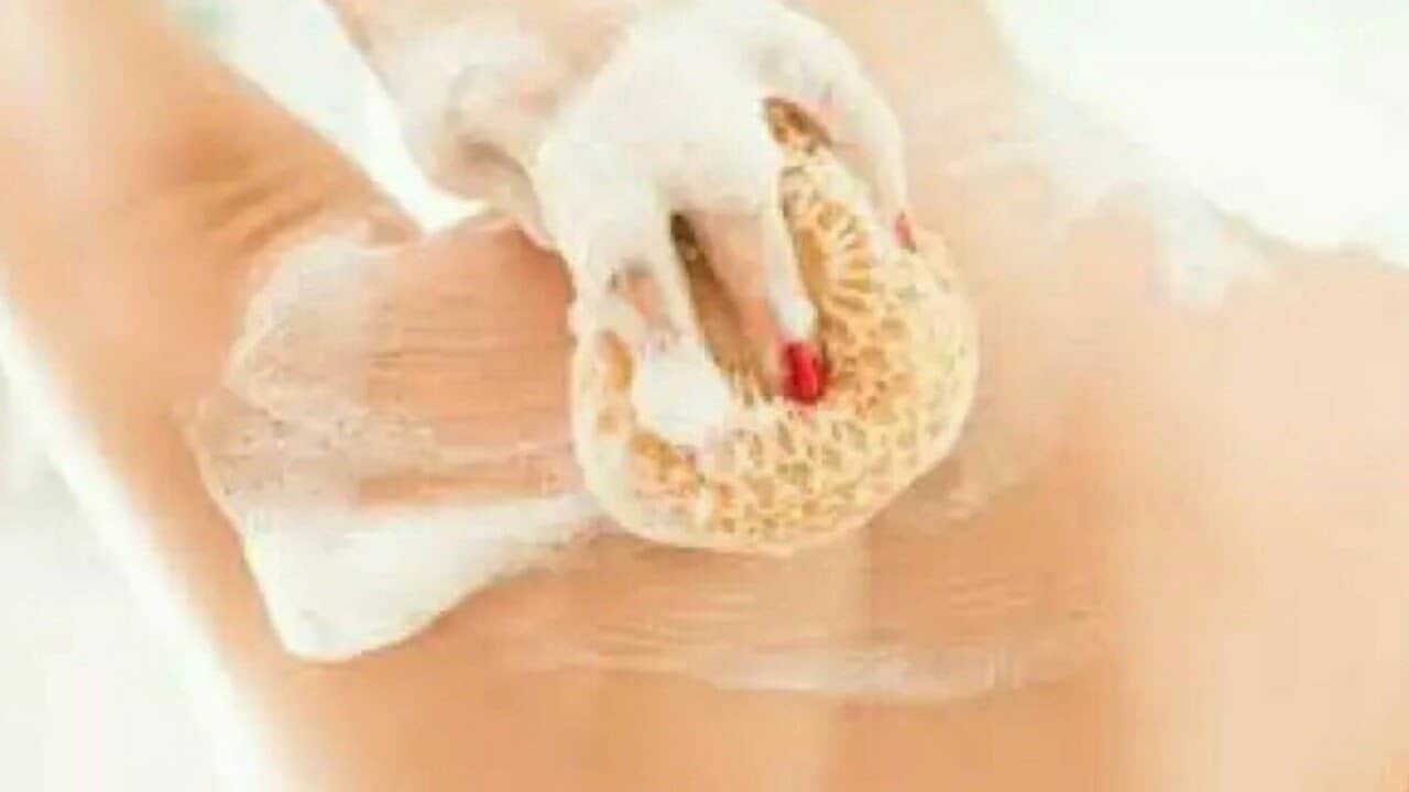 Do not forget to clean these seven parts of the body while taking bath or else you will regret it