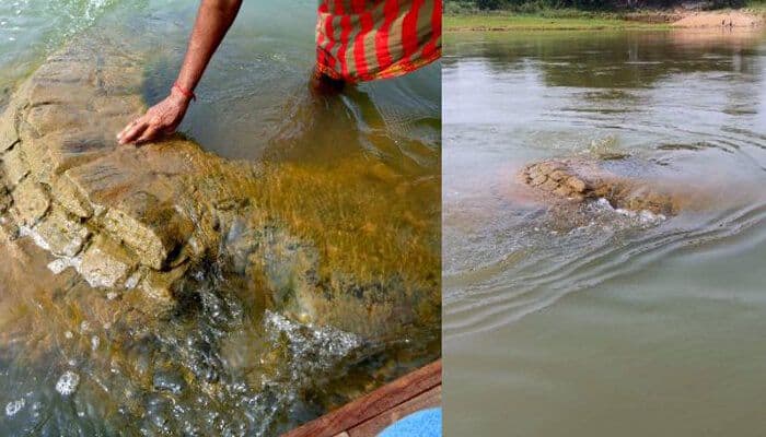 500 years old temple of Lord Vishnu suddenly came out of the river