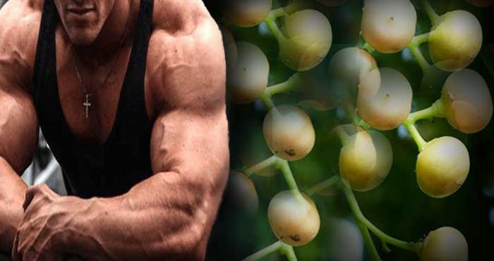 Eating these Indian fruits will become a wrestler in just 1 month, gives 4 times more strength than meat. Know how