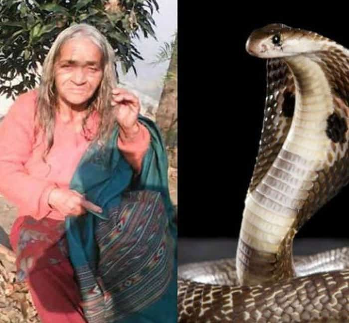 For the last 42 years, snakes have bitten this woman 151 times but still live, know how