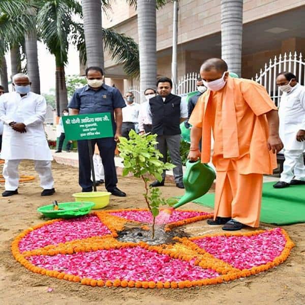 UP: CM Yogi planting saplings on Environment Day aims to plant 30 crore saplings in season