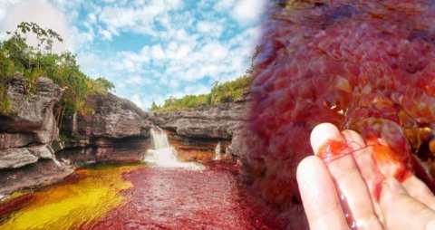 These secret river flows with 5 colors of water, people come to see it from far and wide, know how