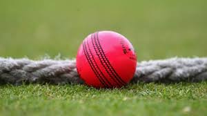 क्रिकेट में कब से गुलाबी गेंद उपयोग होने लगी जानिए इसके बारे में