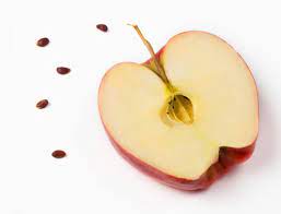 सेब के बीज जहरीले क्यों होते हैं और अगर आप गलती से इन्हें खा लें तो क्या होगा? जानिए